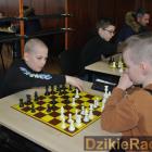 Fotka nr 2 z 135