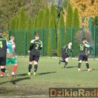 zdjęcie nr 35