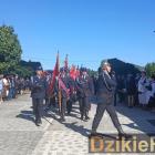zdjęcie nr 79