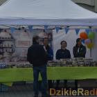 zdjęcie nr 30