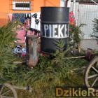 Fotka nr 0 z 73
