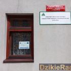 Fotka nr 1 z 2