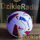 Fotka nr 5 z 7