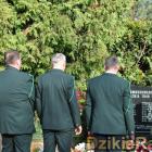 zdjęcie nr 238