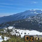 Fot. Grzegorz Fryc
