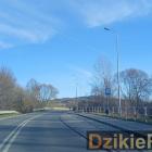Fot: DzikieRadio®