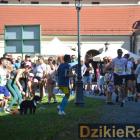 zdjęcie nr 82