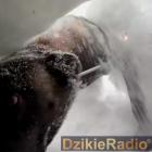 zdjęcie nr 7