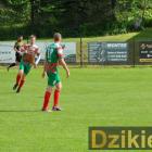 zdjęcie nr 13