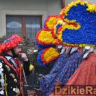 zdjęcie nr 289