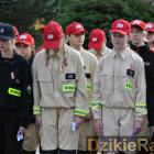 zdjęcie nr 95