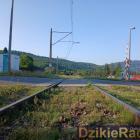 Fotka nr 4 z 6