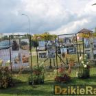 zdjęcie nr 212