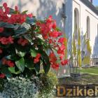 zdjęcie nr 98