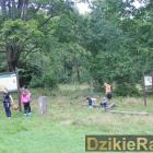 zdjęcie nr 55