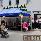 zdjęcie nr 7