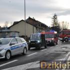 zdjęcie nr 255