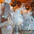 Fot. Dzikieradio
