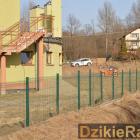 zdjęcie nr 10