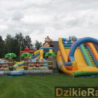 zdjęcie nr 47