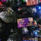 zdjęcie nr 27