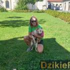 zdjęcie nr 35