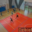 zdjęcie nr 11