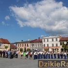 zdjęcie nr 11