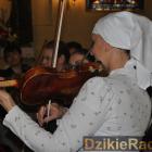 zdjęcie nr 221