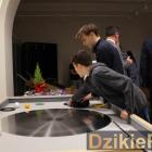 zdjęcie nr 14
