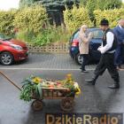 zdjęcie nr 257