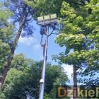 zdjęcie nr 10