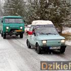 Fotka nr 1 z 2