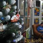 zdjęcie nr 17