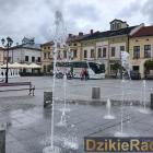 Fotka nr 5 z 19
