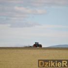 zdjęcie nr 185
