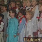 zdjęcie nr 12