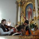 zdjęcie nr 15