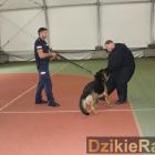 zdjęcie nr 39