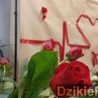 zdjęcie nr 220