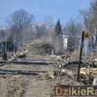 zdjęcie nr 11