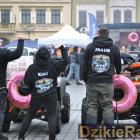 zdjęcie nr 102