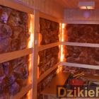 zdjęcie nr 21