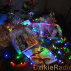 Fot. Dzikieradio