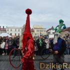 zdjęcie nr 250