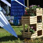 zdjęcie nr 12