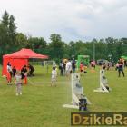 zdjęcie nr 173