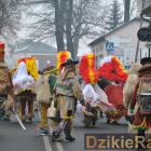 zdjęcie nr 357