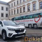 zdjęcie nr 17