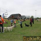 zdjęcie nr 52